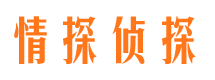 武夷山市调查公司